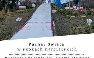 Grafika Pucharu Świata