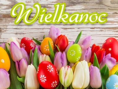 Jajka wielkanocne i tulipany