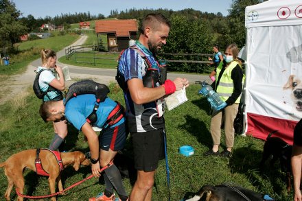 Fragment biegu Pucharu Polski w Dogtrekkingu w Wiśle