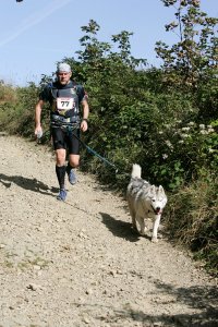 Fragment biegu Pucharu Polski w Dogtrekkingu w Wiśle