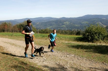 Fragment biegu Pucharu Polski w Dogtrekkingu w Wiśle