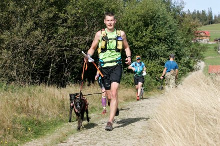 Fragment biegu Pucharu Polski w Dogtrekkingu w Wiśle