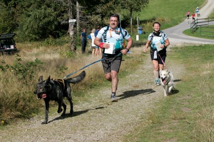 Fragment biegu Pucharu Polski w Dogtrekkingu w Wiśle