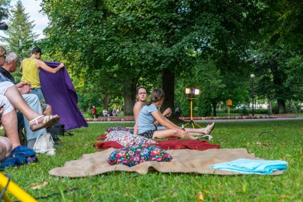 Spektakl w parku "Lisia intryga"