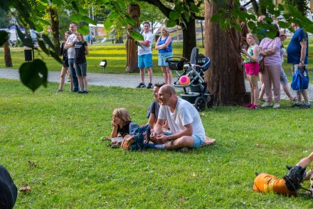 Spektakl w parku "Lisia intryga"