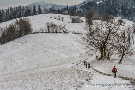 Zawodnicy na trasie Beskid Winter Trial