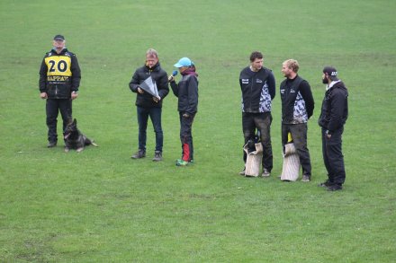 Mistrzostwa Polski Owczarków Belgijskich