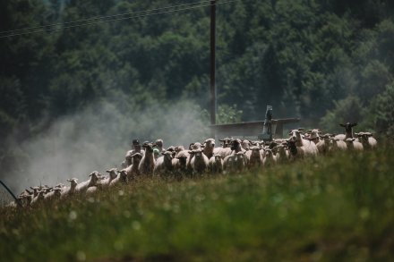 Wygón Łowiec w Wiśle