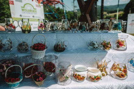 Wygón Łowiec w Wiśle