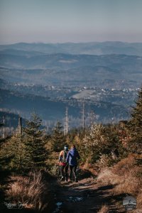 Zawodnicy na trasie biegu
