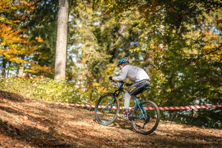 Stromy podjazd do mety