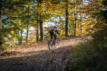 Zawodnik podczas wyścigu