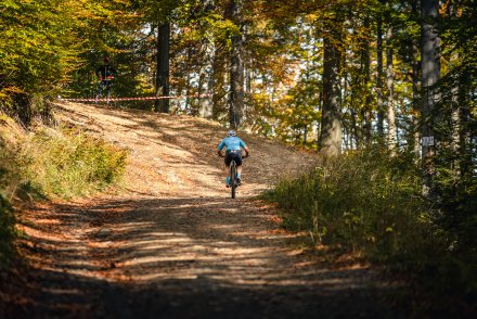 Na stromym podjeździe na Stożek