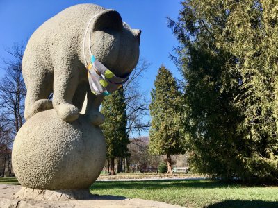 Niedźwiadek na kuli w maseczce