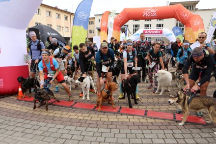 dogtrekking_2022