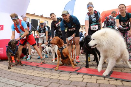 dogtrekking_2022