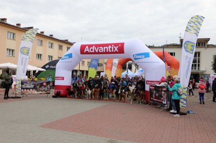 dogtrekking_2022