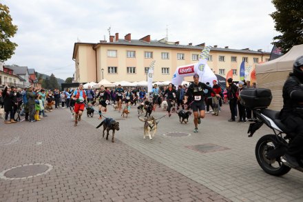 dogtrekking_2022