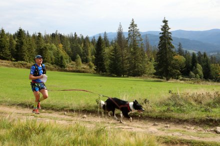 dogtrekking_2022