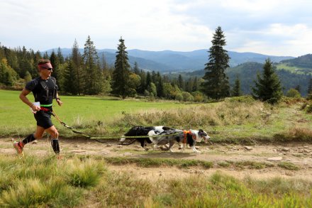 dogtrekking_2022
