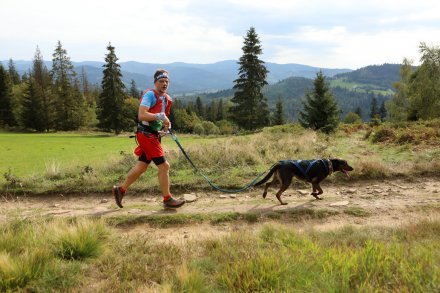 dogtrekking_2022