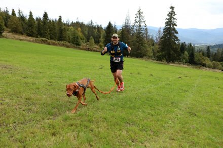 dogtrekking_2022