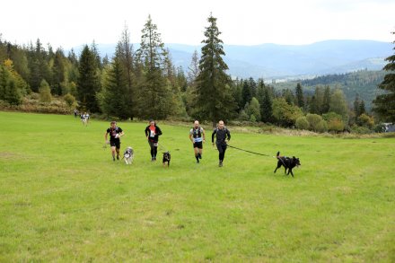 dogtrekking_2022