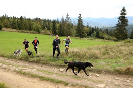 dogtrekking_2022