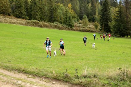 dogtrekking_2022