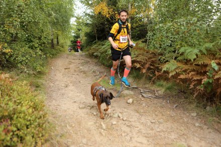 dogtrekking_2022