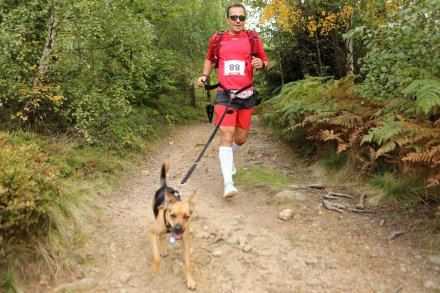 dogtrekking_2022