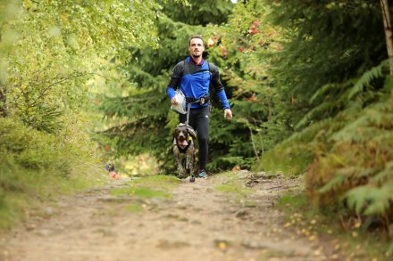 dogtrekking_2022