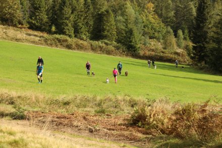dogtrekking_2022