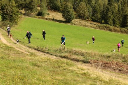 dogtrekking_2022