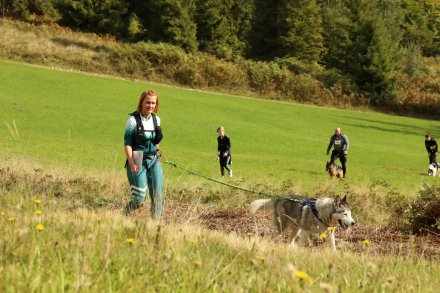 dogtrekking_2022