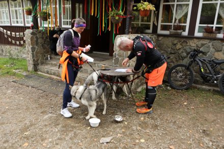dogtrekking_2022