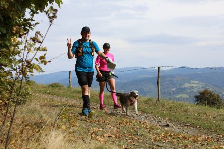 dogtrekking_2022