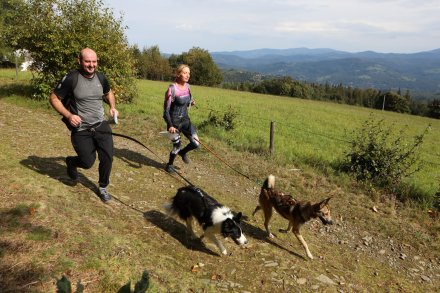 dogtrekking_2022