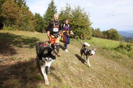 dogtrekking_2022