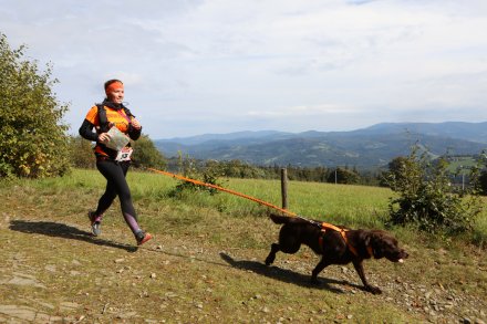 dogtrekking_2022