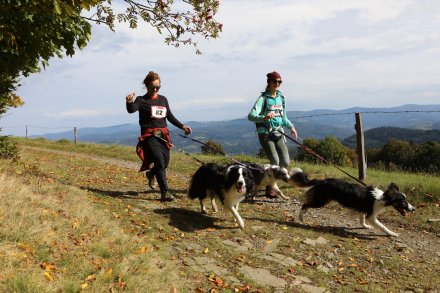 dogtrekking_2022
