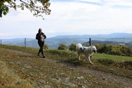 dogtrekking_2022