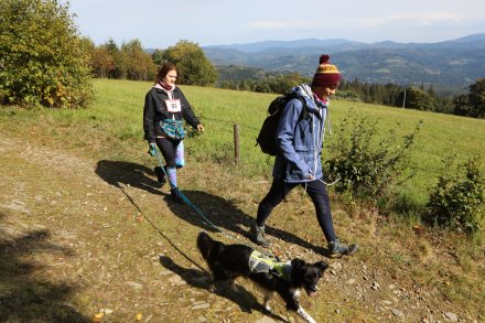 dogtrekking_2022