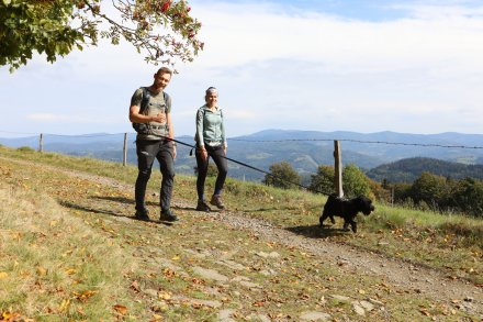 dogtrekking_2022