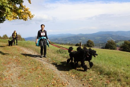 dogtrekking_2022