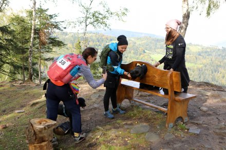 dogtrekking_2022