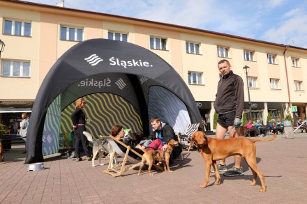 dogtrekking_2022