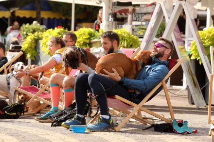 dogtrekking_2022