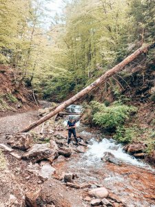 Potok Białej Wisełki