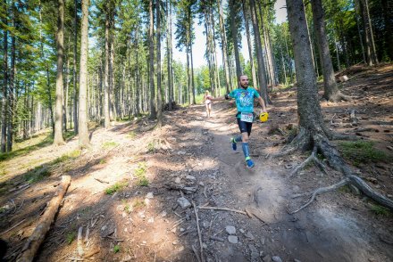 Zawodnicy na trasie biegu